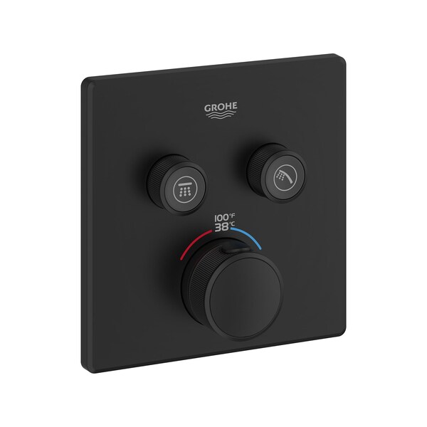 Dual Function Thermostatic Valve Trim, Black